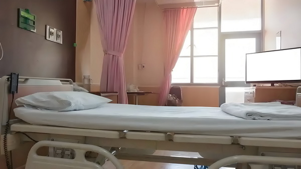 闲情王爷神偷妻
