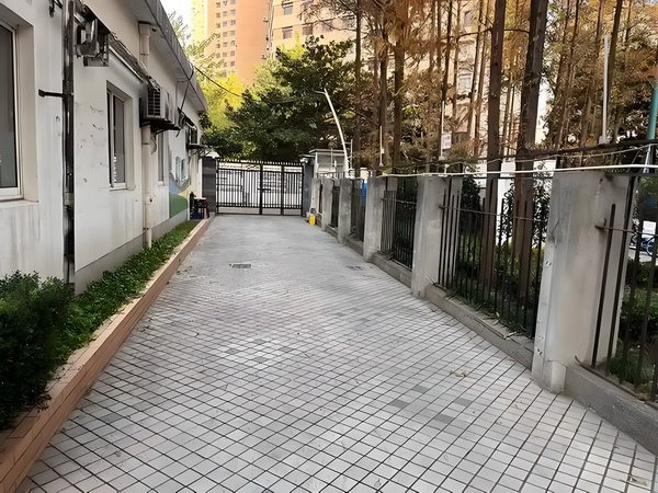 重生异世寻夫